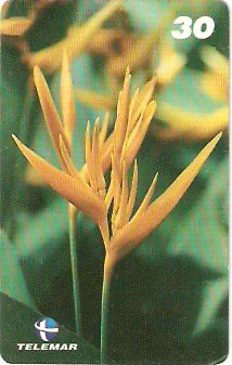 PA-478 - Flores - 1/9
