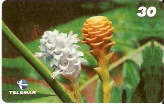 PA-486 - Flores - 9/9