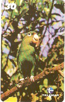 PA-492 - Aves - 1 - 6/6