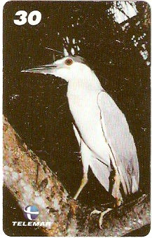PA-497 - Aves - 2 - 5/5