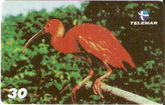 PA-495 - Aves - 2 - 3/5