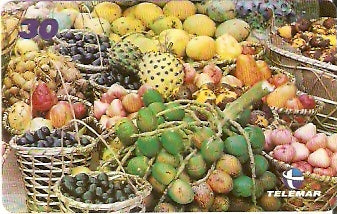 PA-504 - Frutas da Amazônia