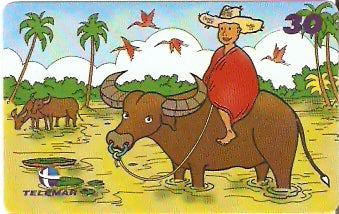 PA-515 - Série Regional - 1/8