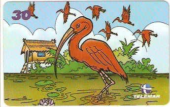 PA-522 - Série Regional - 8/8