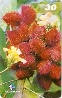 PA-523 - Urucu