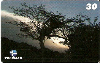 PA-539 - Natureza - 3/8