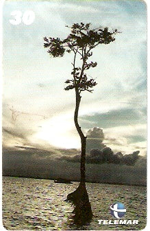 PA-543 - Natureza - 7/8