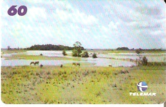 PA-568 - Campos Naturais