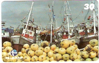 PA-576 - Ver o Peso