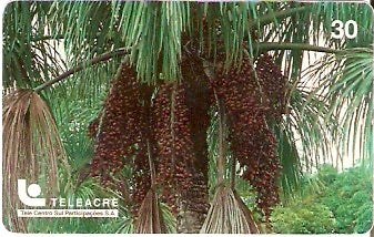AC-021 - Buriti