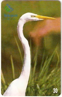 AC-046 - Garça Branca