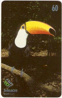 AC-045 - Tucano