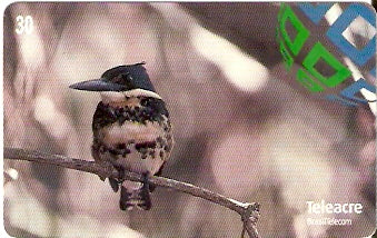 AC-066 - Martim Pescador