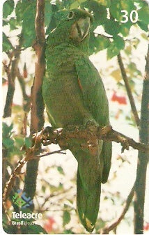 AC-093 - Papagaio Campeiro