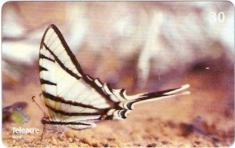 AC-099 - Borboleta