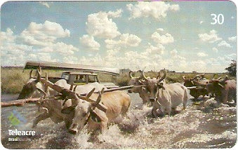 AC-100 - Carreta de Boi