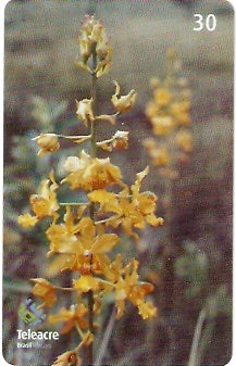 AC-106 - Flores
