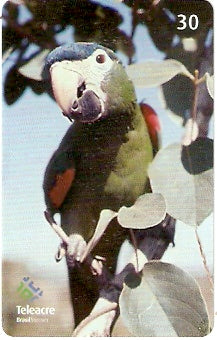 AC-107 - Arara