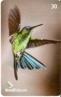 AC-150 - Beija-Flor