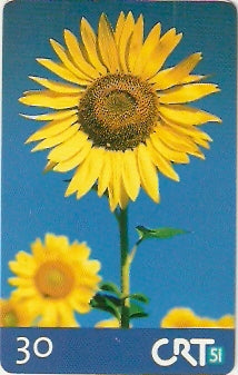 RS-0177 - Primavera - 1126