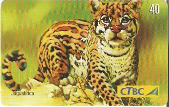 CTBC-T-0764 - Felinos - 5/5