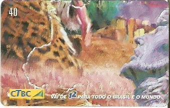 CTBC-T-0732 - Quem liga usa o 12 - 3/8