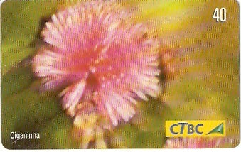 CTBC-T-0791 - Flores do Cerrado - 6/8