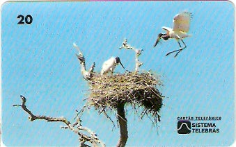 MS-011 - Tuiuiú - B2