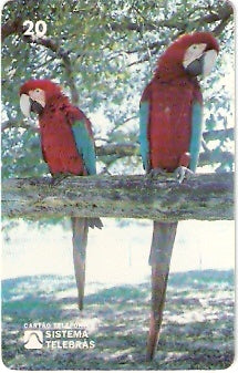 MS-008 - Arara Vermelha - B2