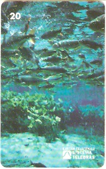 MS-006 - Aquário Natural