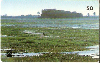 MS-012 - Pantanal - B1