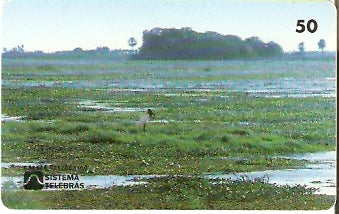 MS-014 - Pantanal - C3