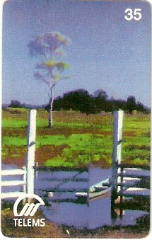 MS-017 - Vida Pantaneira - 3