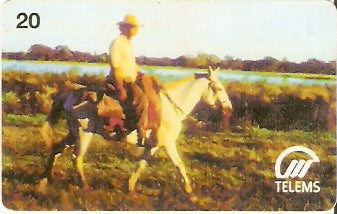 MS-018 - Vida Pantaneira - 4