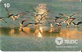 SC-107 - Aves