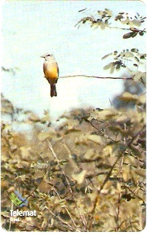 MT-371 - Aves - 03/10