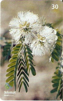 MT-373 - Flores - 05/10