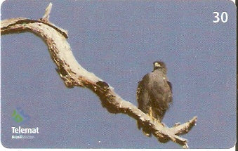 MT-402 - Aves - 09/10