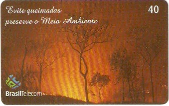 MT-428 - Queimada