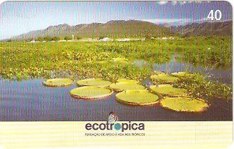 MT-472 - Ecotrópica - 4/4