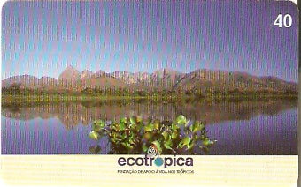 MT-470 - Ecotrópica - 2/4
