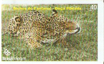 MT-502 - Bichos do Pantanal - 1/5
