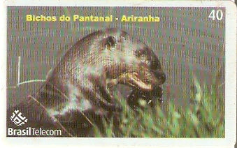 MT-504 - Bichos do Pantanal - 3/5