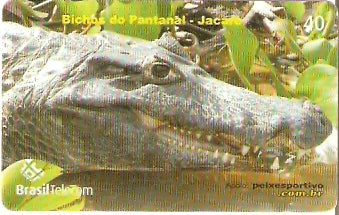 MT-505 - Bichos do Pantanal - 4/5