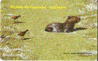 MT-506 - Bichos do Pantanal - 5/5