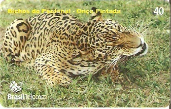 MT-507 - Bichos do Pantanal - 1/5