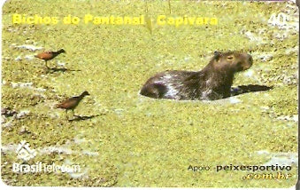 MT-511 - Bichos do Pantanal - 5/5