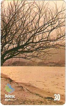 SC-197 - Fim de Tarde de Outono