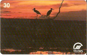 MS-036 - Por-do-Sol no Pantanal