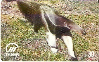 MS-058 - Tamanduá Bandeira